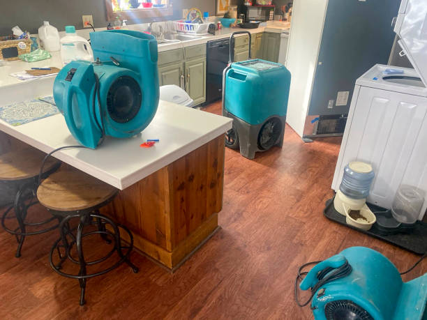 Best 24-hour water damage restoration  in Lowry Crossing, TX