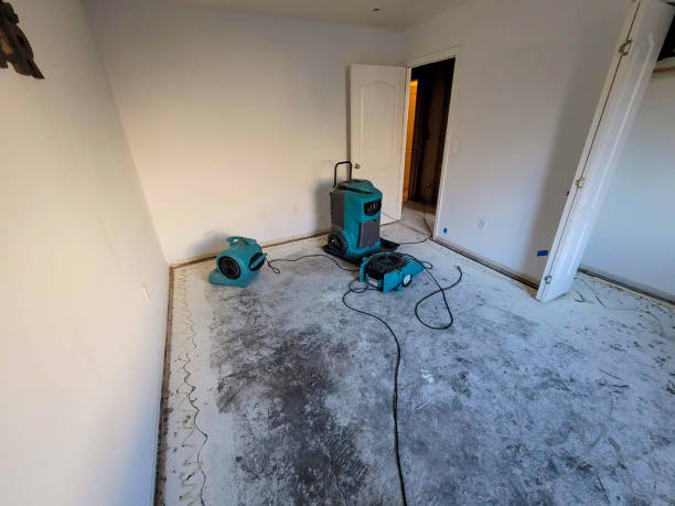Best Sewage cleanup and water damage restoration  in Lowry Crossing, TX