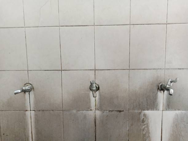 Best Ceiling water damage repair  in Lowry Crossing, TX