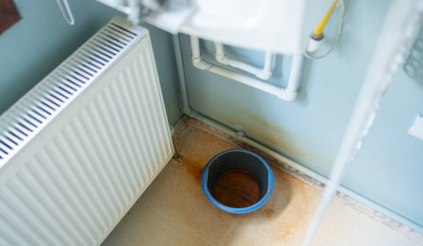 Best Flood damage cleanup  in Lowry Crossing, TX