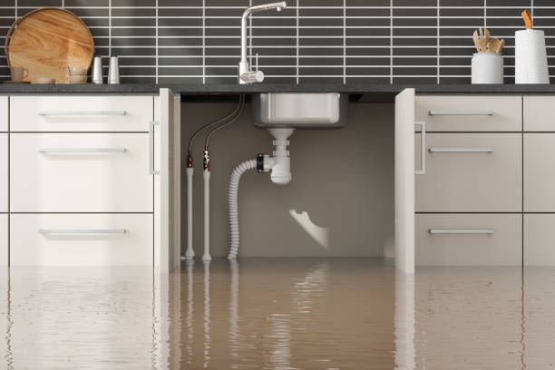 Best Local water damage restoration  in Lowry Crossing, TX