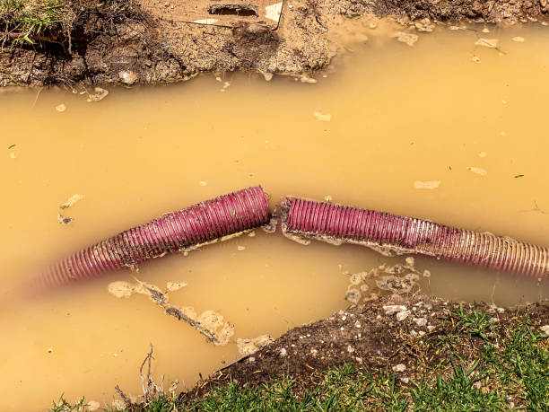 Best Flood restoration services  in Lowry Crossing, TX